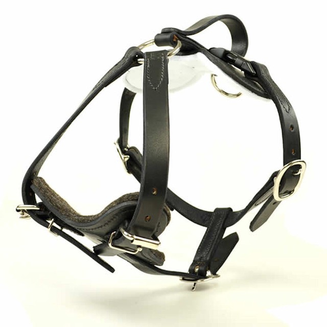 redline dog training