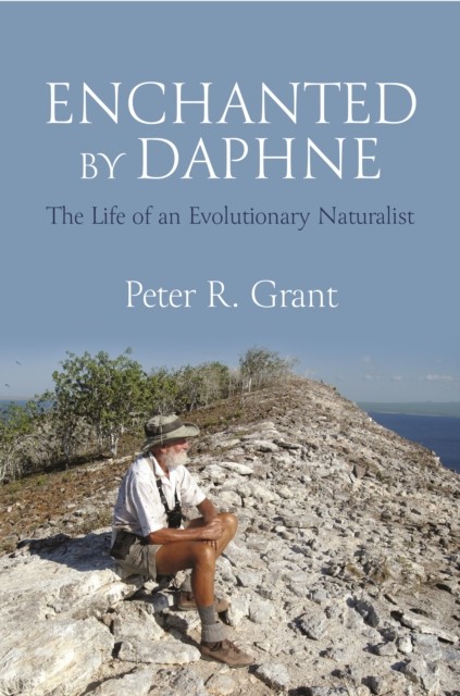Enchanted By Daphne