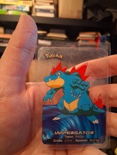 Pokemon Edibas Lamincards 2005 & 2006 Deutsch - Gigantische Auswahl # 2