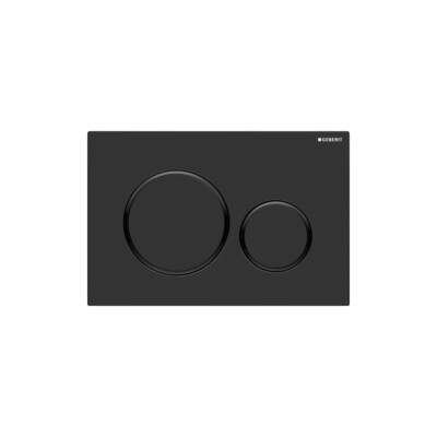 Geberit 115.882.16.1 Matte Black with Polished Black Accent Flush Plate