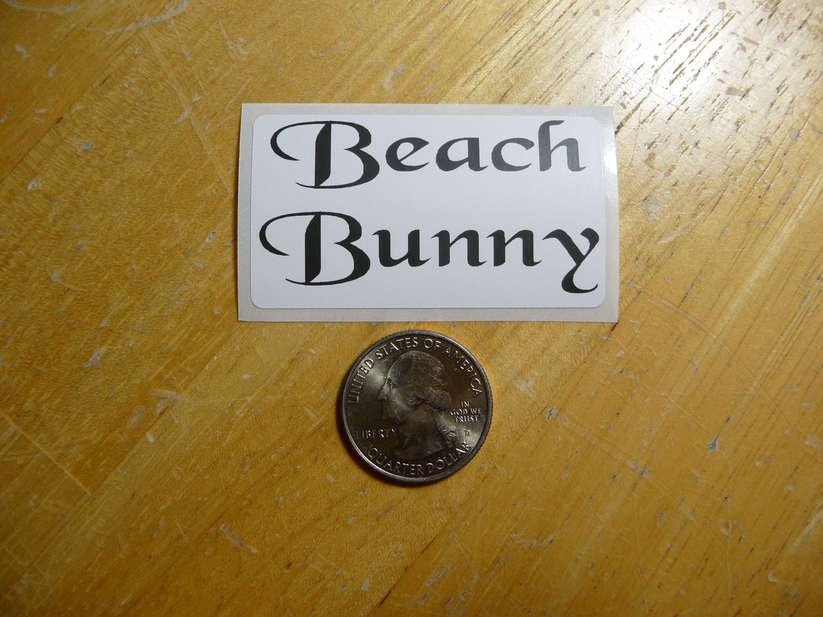 Beach Bunny Sticker Decal Bulk Pack 1-50 Count Available