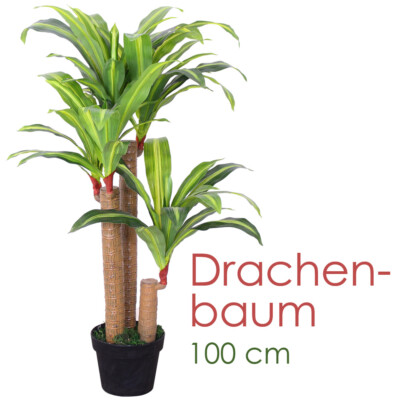Drachenbaum Kunstpflanze Kunstbaum Knstliche Pflanze mit Topf 100cm  Decovego | eBay.de