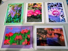 Greeting Cards Lot of Ten by Photographer Sara Johann