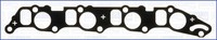 Dichtung AnsaugkrüMmer Ajusa 13186000 FüR Fiat Saab Opel Alfa Cadillac GT 147 CC
