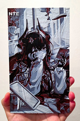 Neverness To Everness, NTE Shinku Custom 3D Printed Board