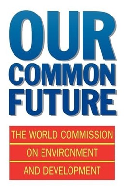 Our Common Future (Oxford Paperbacks) by World Commission On Environme Paperback