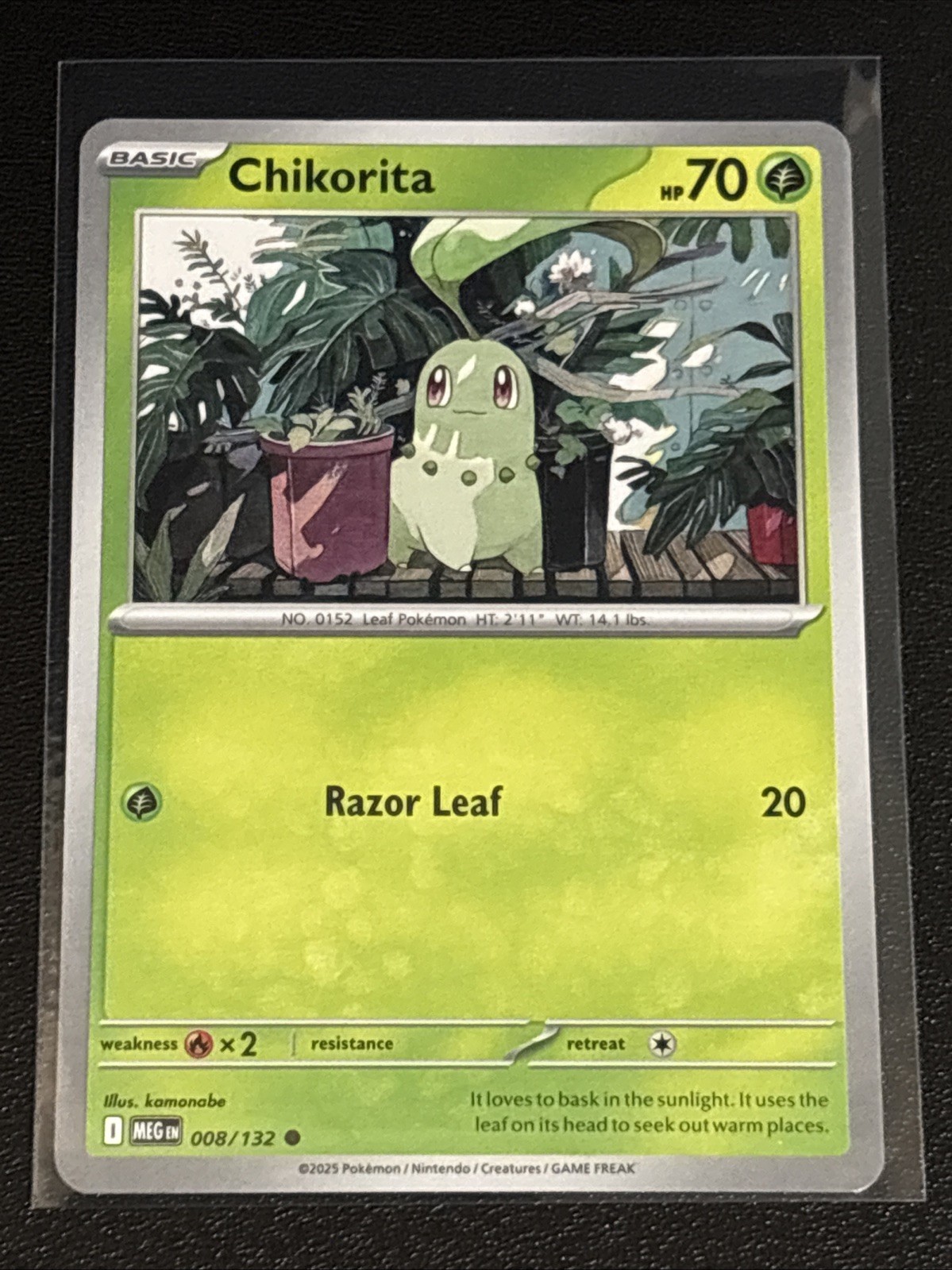 Pokémon TCG Mega Evolution Chikorita 008/132 NM