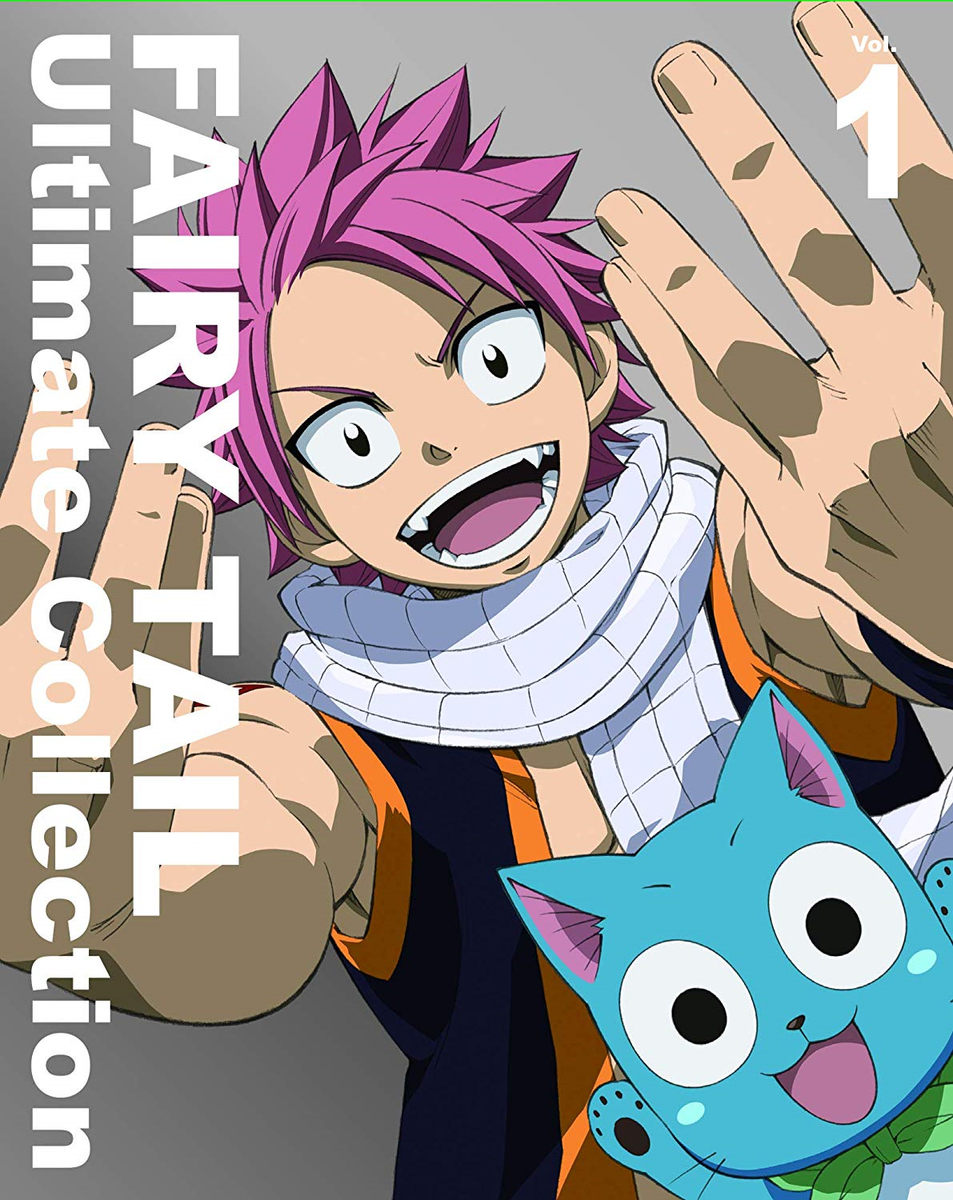 ヴァイス LOVE & LUCKY ホロ 4枚セット　FAIRY TAIL 合体魔法 ルーシィ ホロ 4枚 ヴァイス フェアリーテイル FAIRY