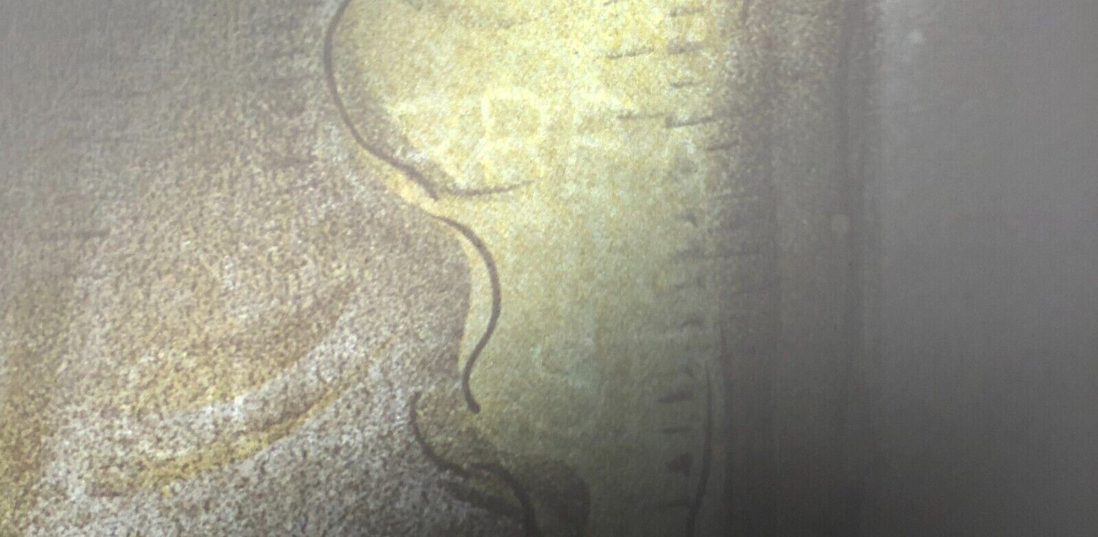 Picture 4 of 5