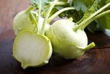 Early White Vienna Kohlrabi Seeds, NON-GMO, Variety Sizes, FREE SHIPPING