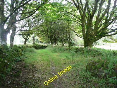 Foto 6x4 Der Kilmacoliver Rundgang nach der zerstörten Bauernhaus in Bregau c2014