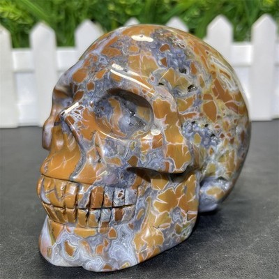 1.1LB 3.3''Natural Indonesian Agate Skull Crystal Quartz Carving Reiki Decoration