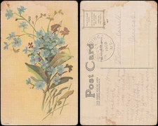 forget me nots, 1908, Jerico Springs MO