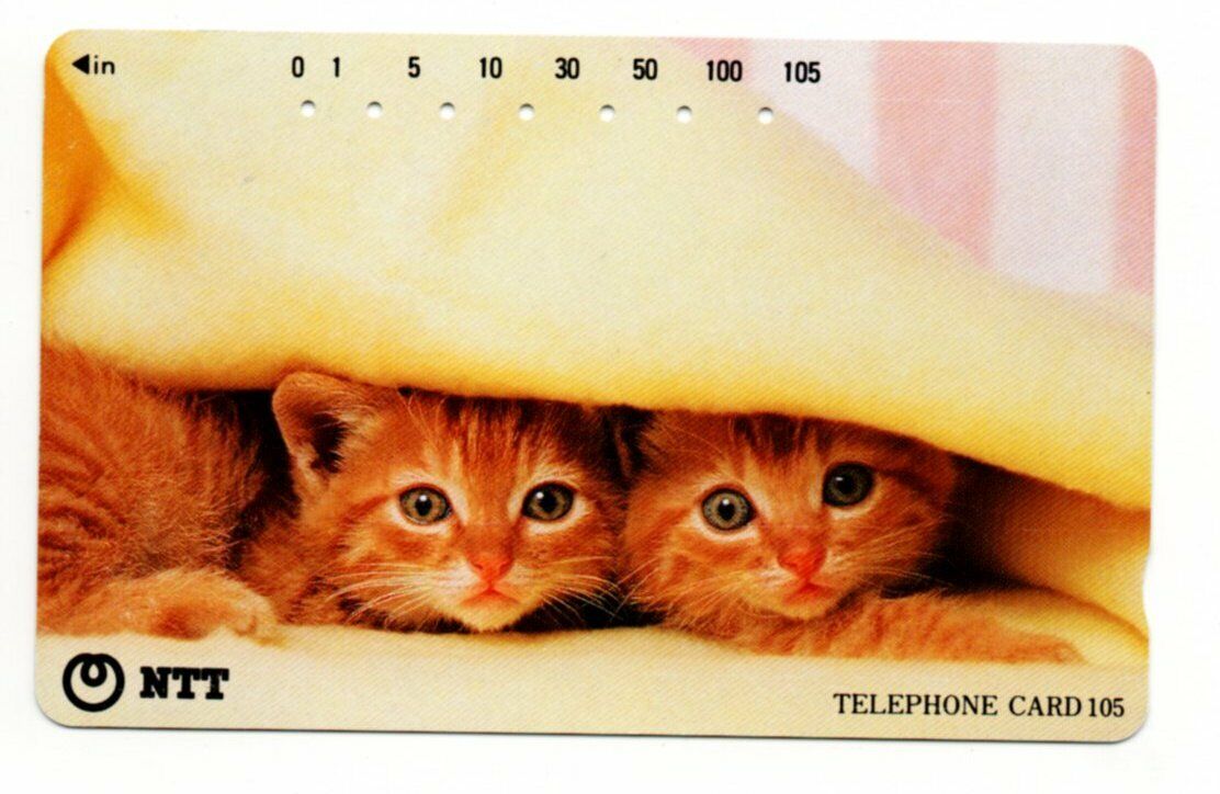 Japan Japanese NTT Phone Card 105 Two Kittens Under A Blanket 1995