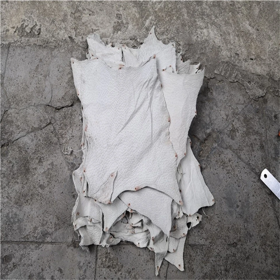 2X Cuello de avestruz Cuero Piel Cuero Multicolor Avestruz Hágalo usted mismo Material artesanal Foto 2 de 4