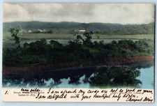 Fiji Postcard Sugar Cane Farm Rewa River on Island of Viti Levu 1906 Antique
