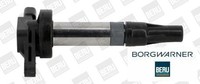 BorgWarner Beru ZSE196 ZüNdspule ZüNdmodul FüR Jaguar FüR Land Rover