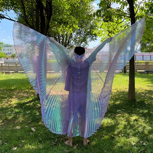 Transparent Belly Dance Wings Stage Performance Dancing Props - Picture 21 of 42