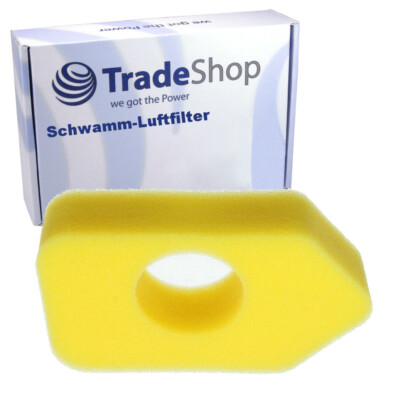 Luft-Filter Schwamm für Briggs & Stratton 10982 98902 98982 10A900 10B900