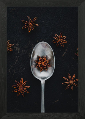 Star Anise Spice Framed Wall Art Poster Canvas Print Picture