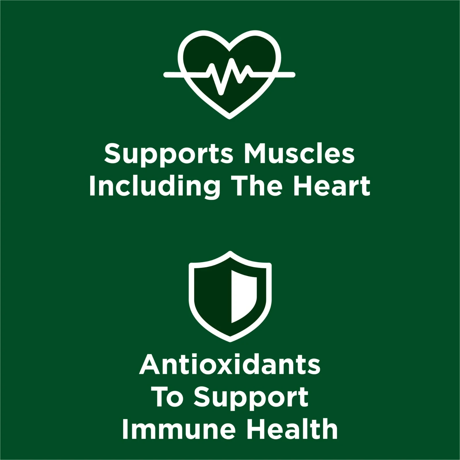 Purina Dog Chow High Protein Dog Food Dry Recipe with Real Beef, 44 lb Bag