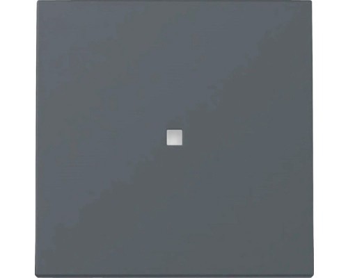 GIRA System 55 E2 Steckdose Schalter / Wippe / Rahmen Anthrazit nach Wahl NEU - Bild 3 von 53