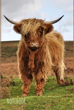 Highland Cow Notebook: Cute Highland Cow Lined Journal, The Perfect Highland Cow