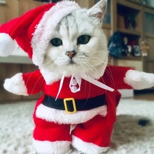 Winter Christmas Pet Cat Costumes Funny Santa Claus Clothes For Small Cats Dogs