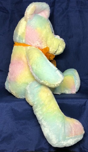 Peluche orso arcobaleno pastello tie dye peluche circo Las Vegas Reno - Foto 3 di 8