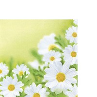 20 Kleine Cocktailservietten White Daisies Margeriten Blumen Garten GrüN 25X25Cm