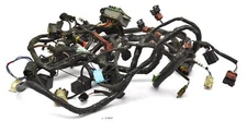 Triumph Tiger 885i 709 EN - Wiring Harness Cable Lage
