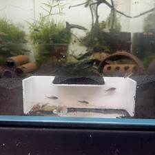 Aquarium Cave Underground Pleco Shrimp Fish Hide