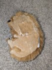 Bild 5 von 6