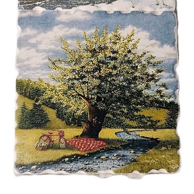 VTG Set 4 Coasters Teresa Pennington Blue Ridge Landscapes Plott Creek Tree Art