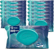 Flushable Wipes, 480 Total Wipes 12 Packs of 40