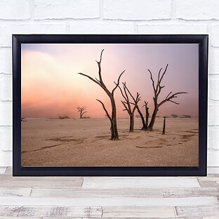 Fog in deadvlei Namibia Desert Sand Trees Tree Dead Wither Wall Art Print