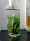 BATH AND BODY WORKS WHITE CITRUS 3 OZ MIST CUCUMBER MELON LOTION 8 OZ LOT OF 2 — photo 10