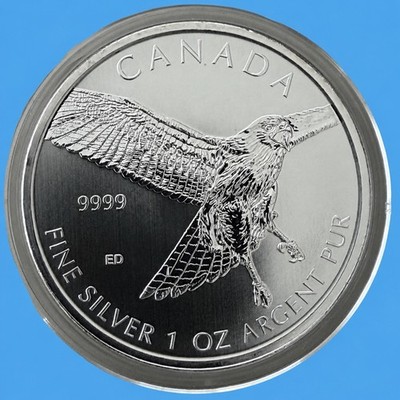 2015 Birds of Prey Rotschwanzbussard Kanada 1 oz Silber 9999