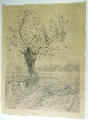 E.Wolfsohn 1917 Kohlezeichnung Baum am Fluß 65x49 cm O-5931 - Bild 1 von 4