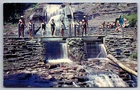 Vintage Postcard NY Ithaca Robert Treman State Park Pretty Girls  -2016