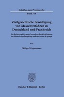 Philipp Wippermann / Zivilgerichtliche BewäLtigung Von Massenv ...9783428194001