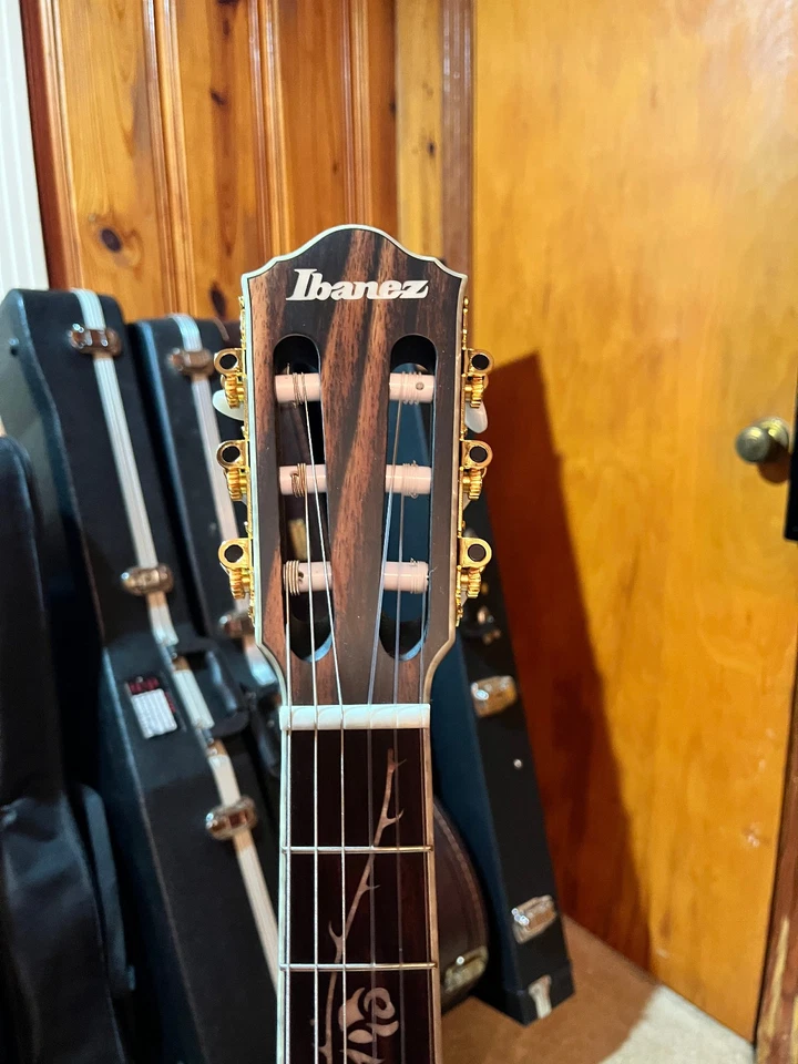Ibanez TOD10N Tim Henson Signature Nylon-string Acoustic-electric Guitar - Image 3 of 4