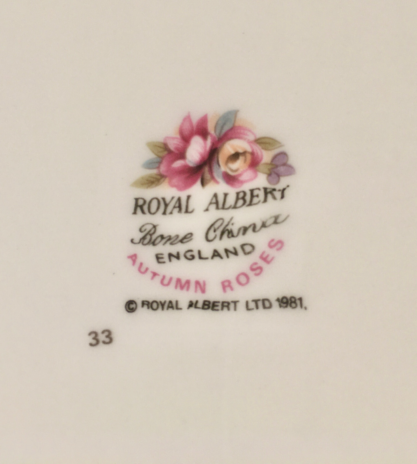 Royal Albert Autumn Rose 10 piece place setting