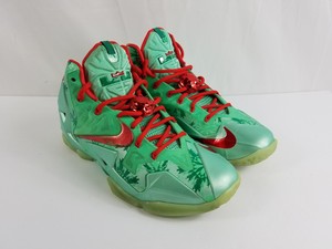 lebron shoes size 8.5