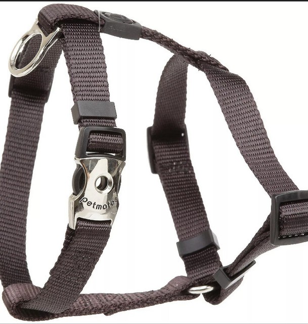 aspen dog harness
