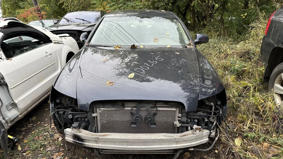 Husillo/nudillo delantero pasajero 8 cilindros para 05-11 AUDI A6 22096 Foto 2 de 4