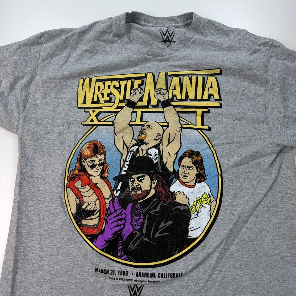 WWE 摔跤狂热衬衫成人大号灰色圆领石头冷底图案 — 第 2/4 张图片