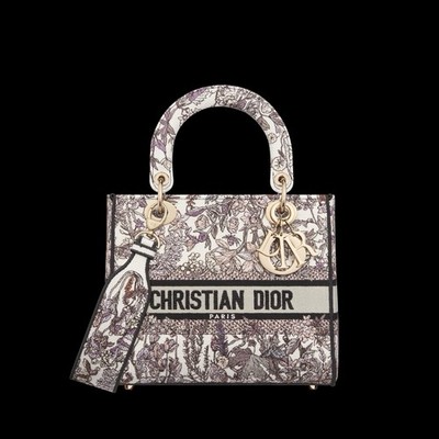 Christian Dior Medium Lady D-Lite  Dior 4 Saisons   Hiver  Embroidered Canvas