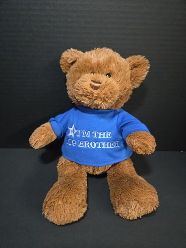 GUND “I’m The Big Brother” Message Bear with Blue Brother Tshirt 