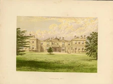 Original Old Antique Print Meyer H/C Birds 1842-50 Kestrel 19th